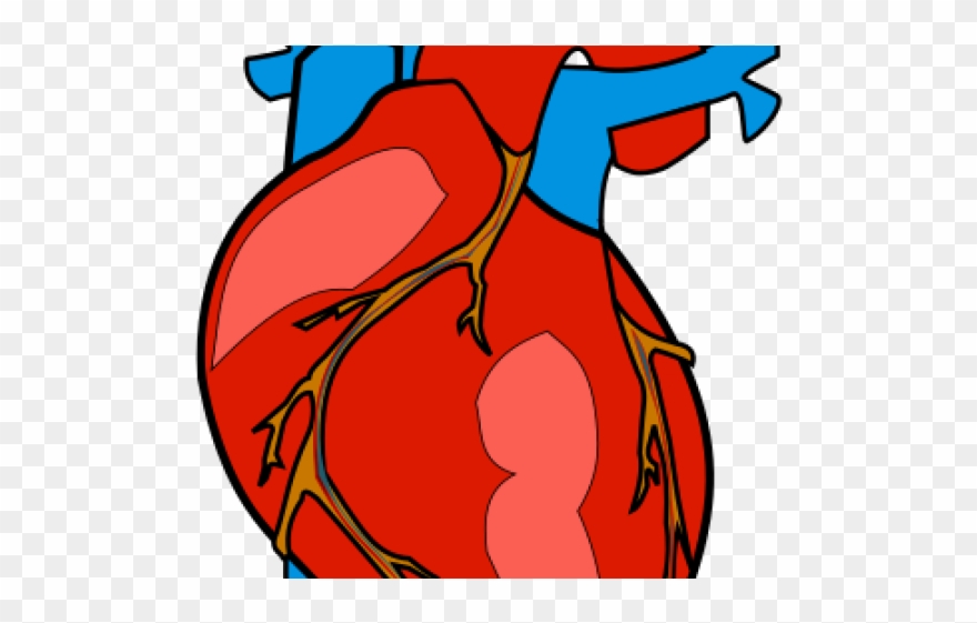 clipart hearts body
