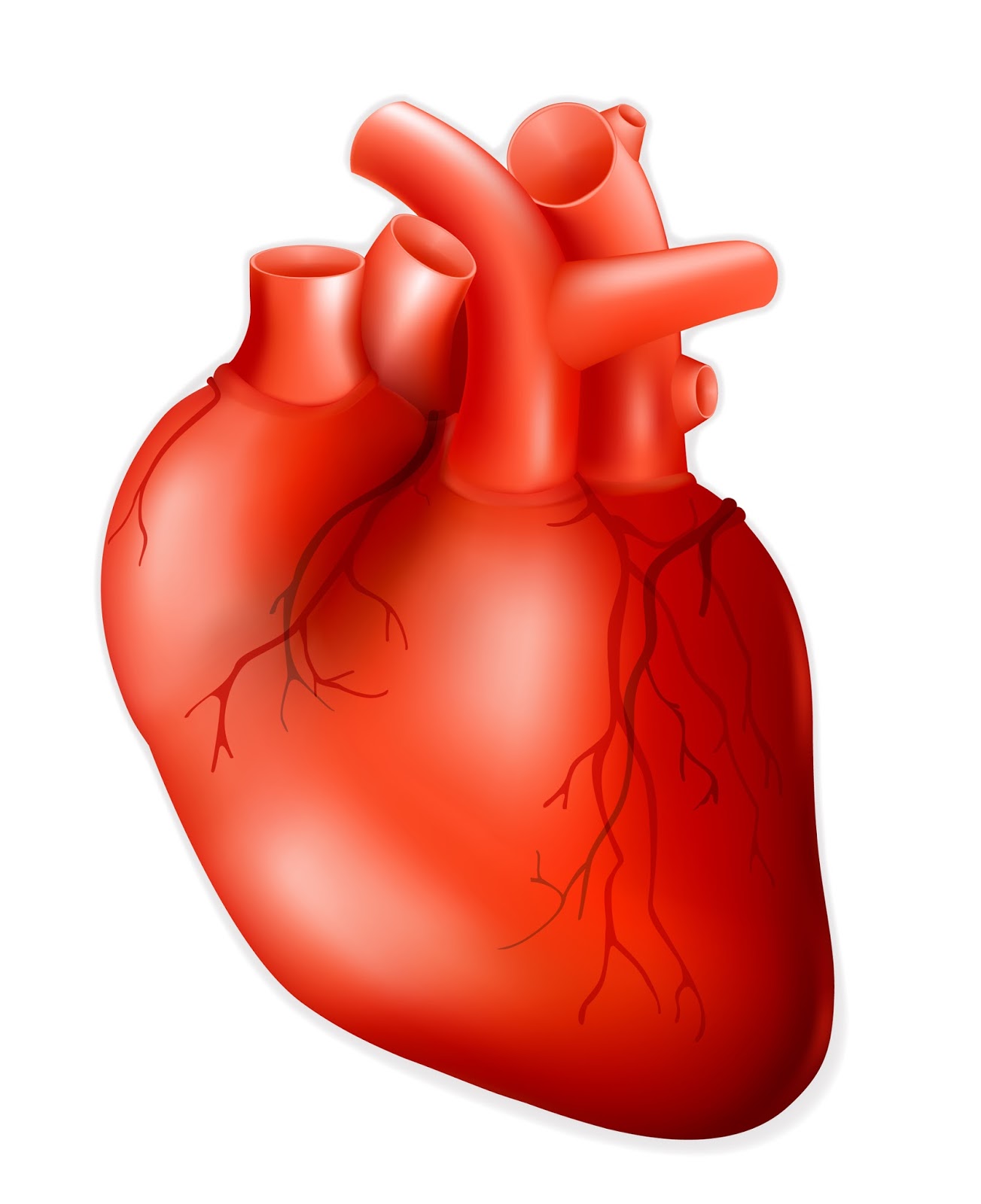hearts clipart body