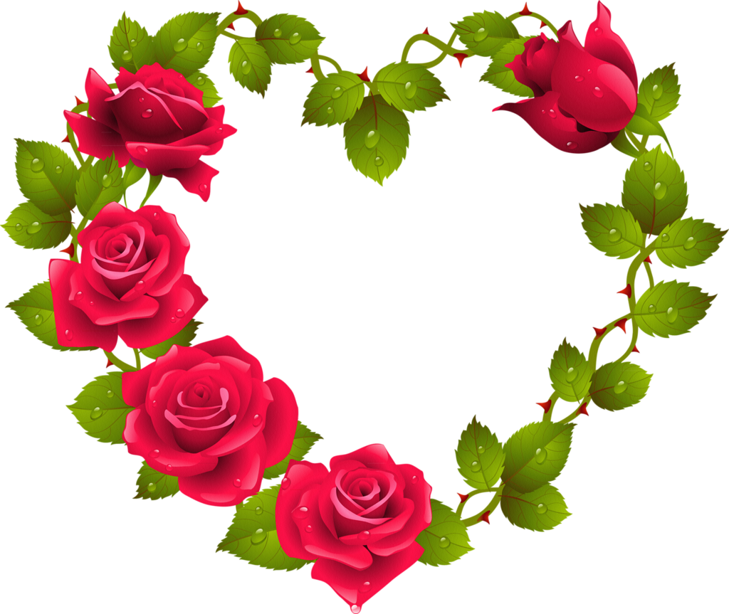  png pinterest red. Clipart roses heart
