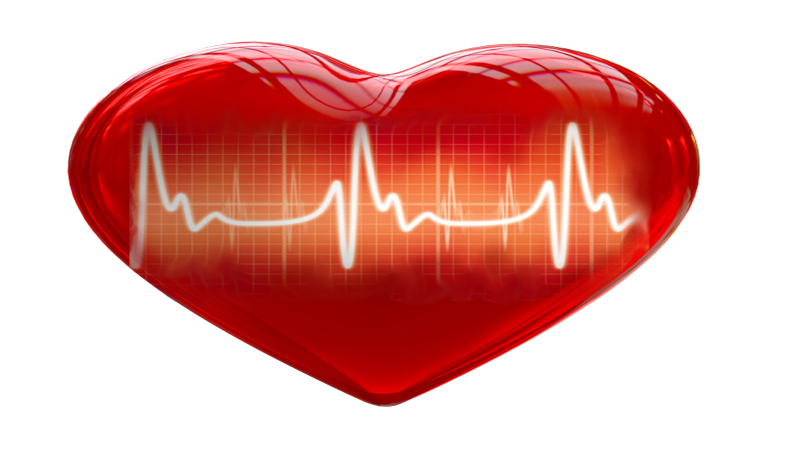 healthcare clipart heart