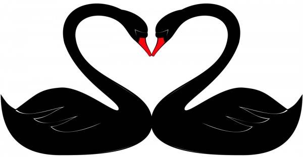 Clipart hearts swan. Bertie valentine storynory 