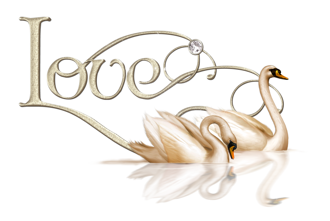 Clipart hearts swan. Valentine love swans png