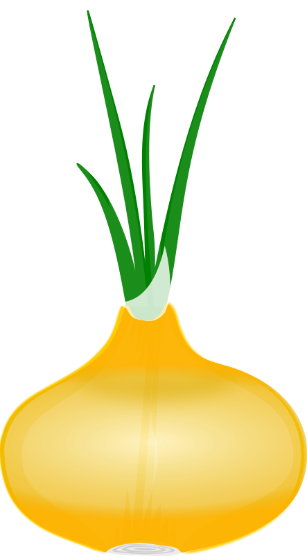 Clipart spring vegetable. Cooking onion
