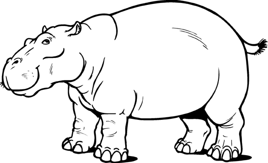 clipart hippo black and white