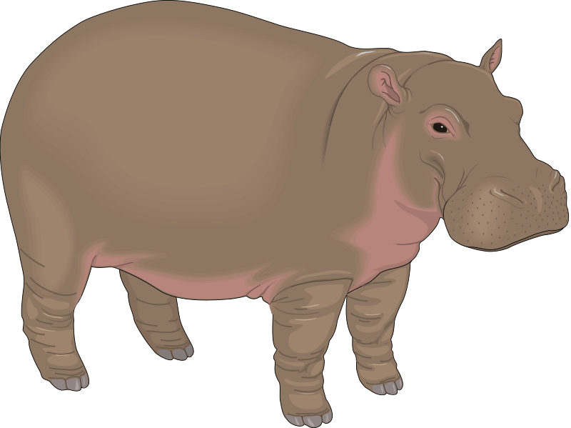 clipart hippo brown