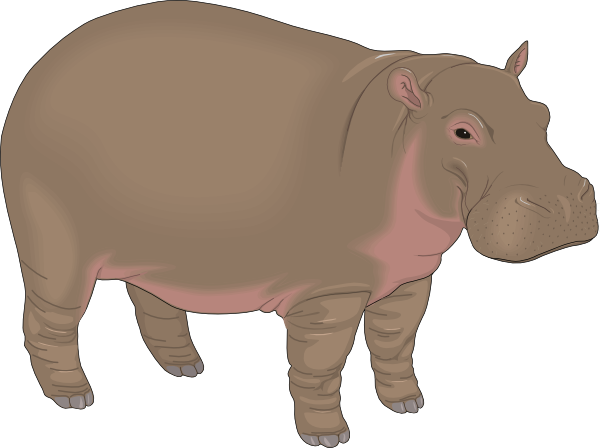 hippo clipart brown