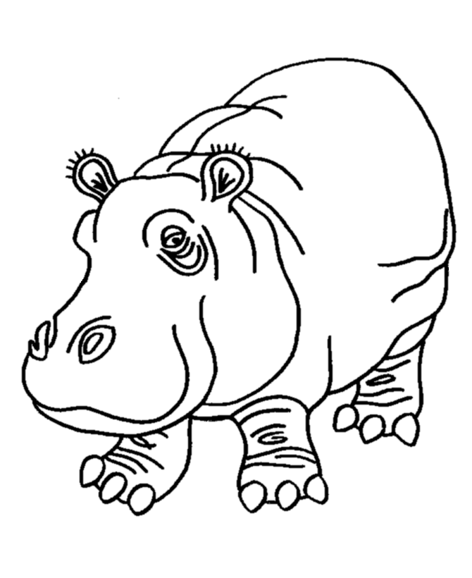 clipart hippo coloring