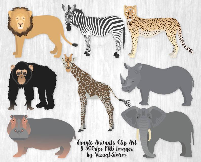 Animal safari birthday graphics. Clipart hippo jungle