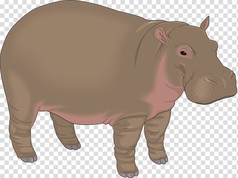 clipart hippo mammal