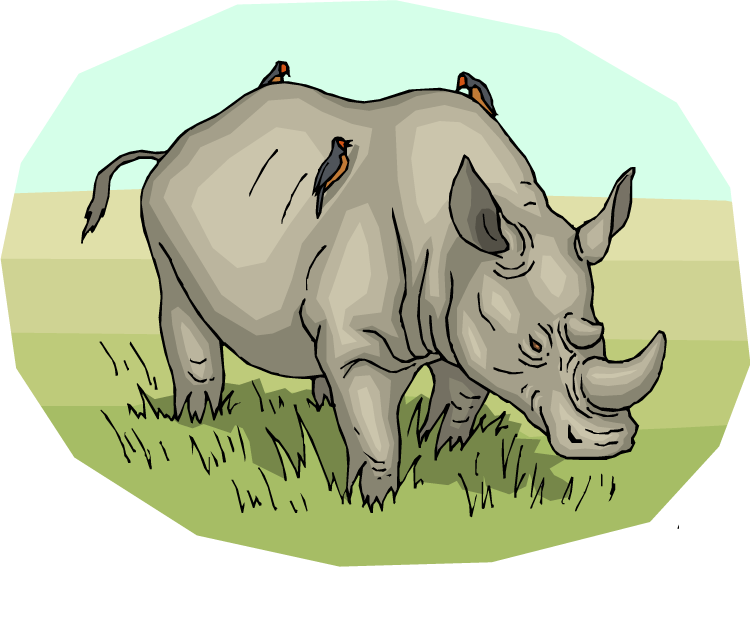 sad clipart rhino