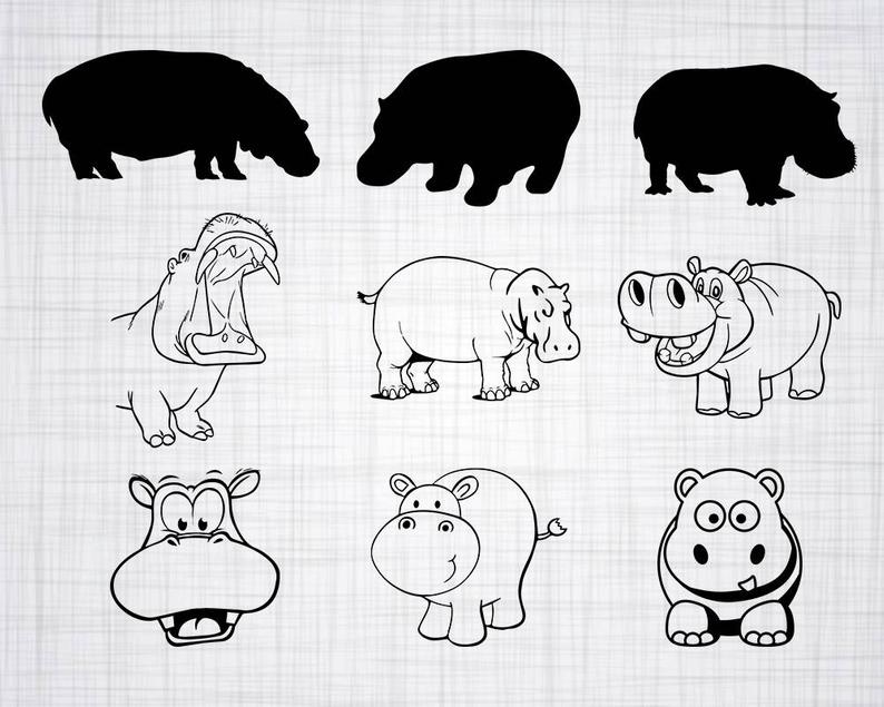 hippo clipart vector