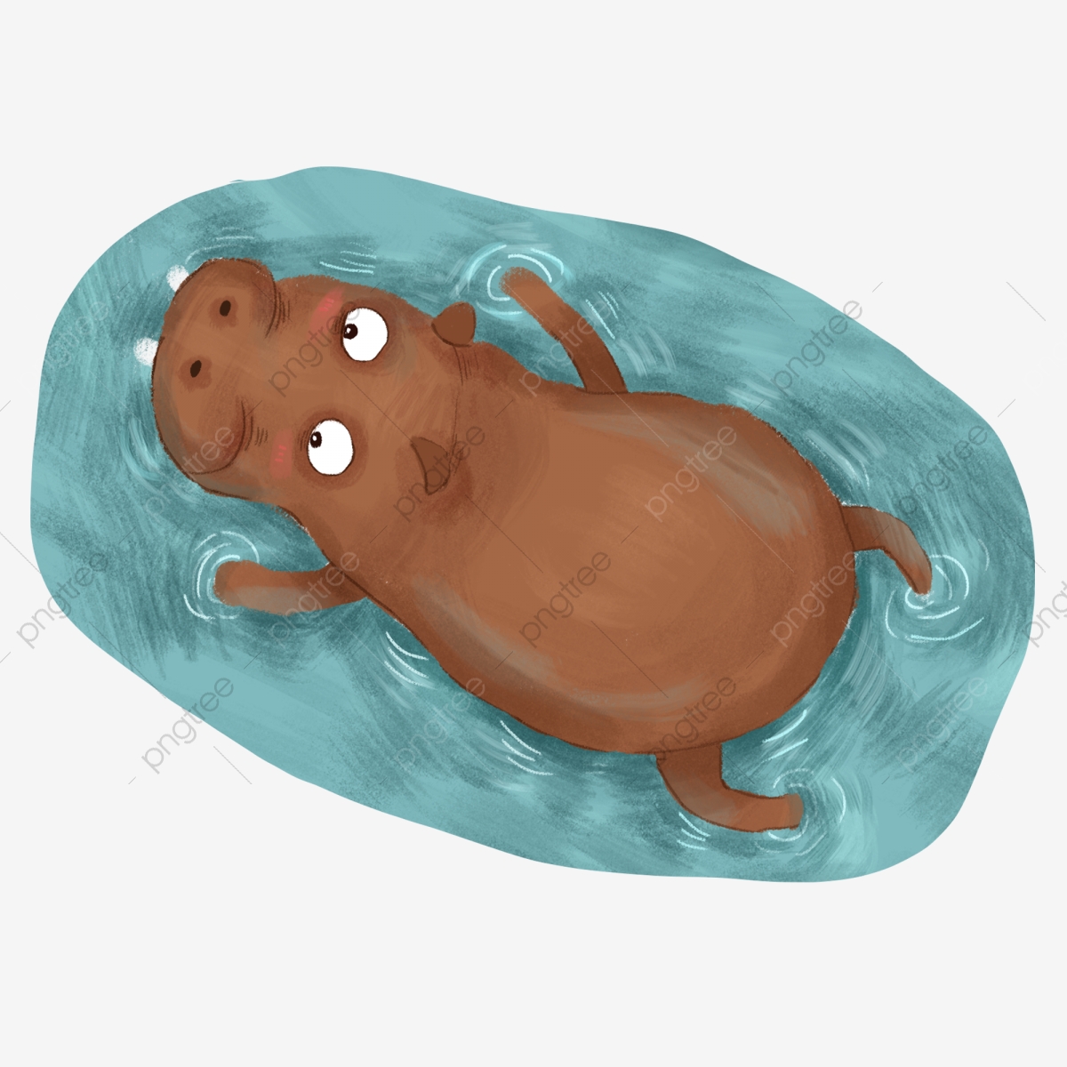 Clipart hippo swimming. Summer animal swim cute