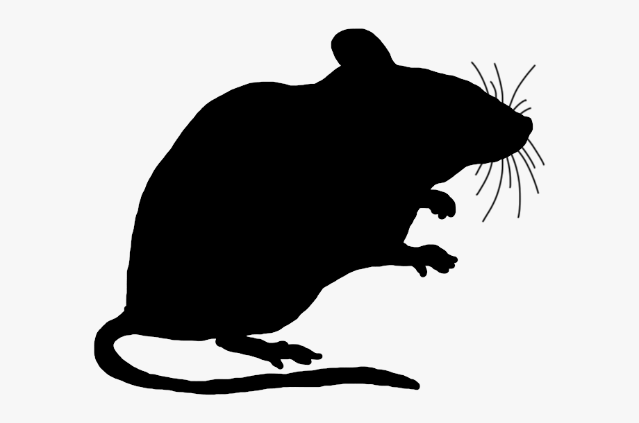 Clipart rat transparent background. Mouse silhouette 