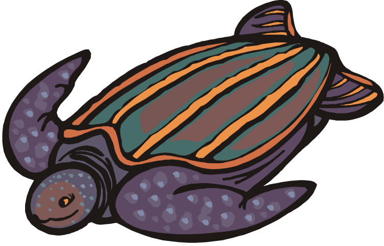 Home clipart turtle. Free