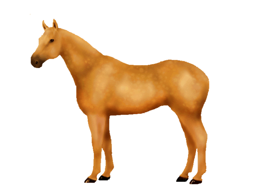 horse clipart body