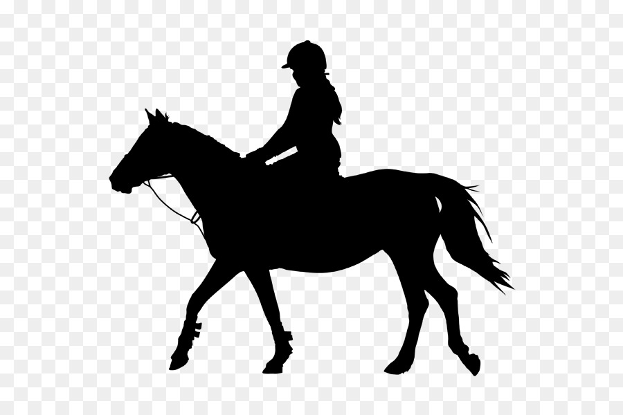 clipart horse equestrian