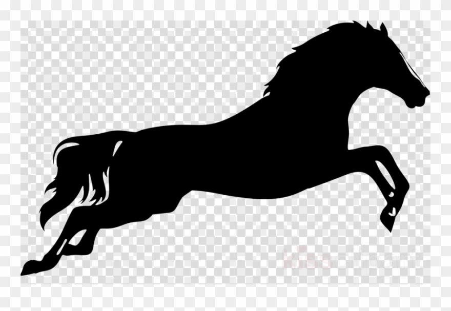 clipart horse equine