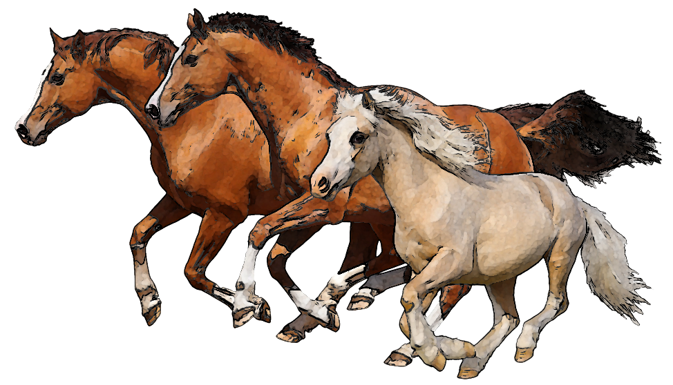 Clipart horse family. Let s learn about