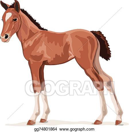 Vector illustration brown pony. Horse clipart foal