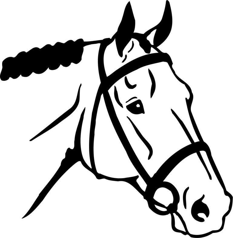 clipart horse line art