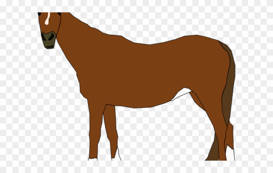 clipart horse mare