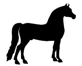 clipart horse morgan horse