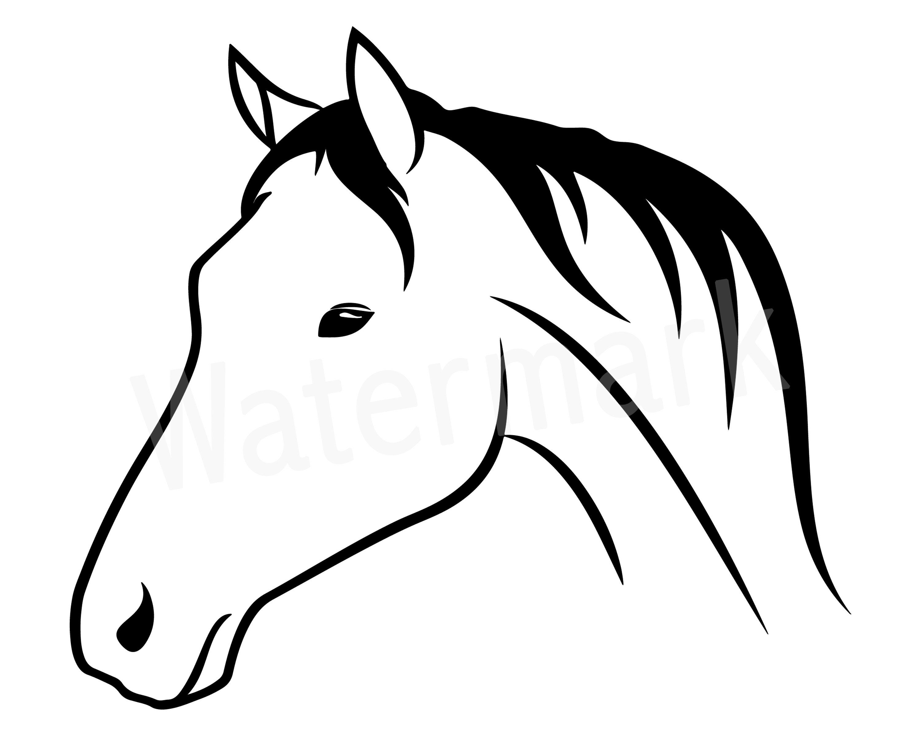 clipart horse nose