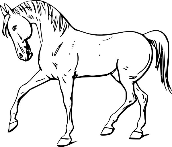 Clipart walking outline. Horse body drawing at