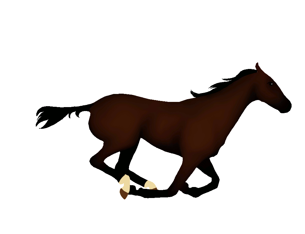 clipart horse rear