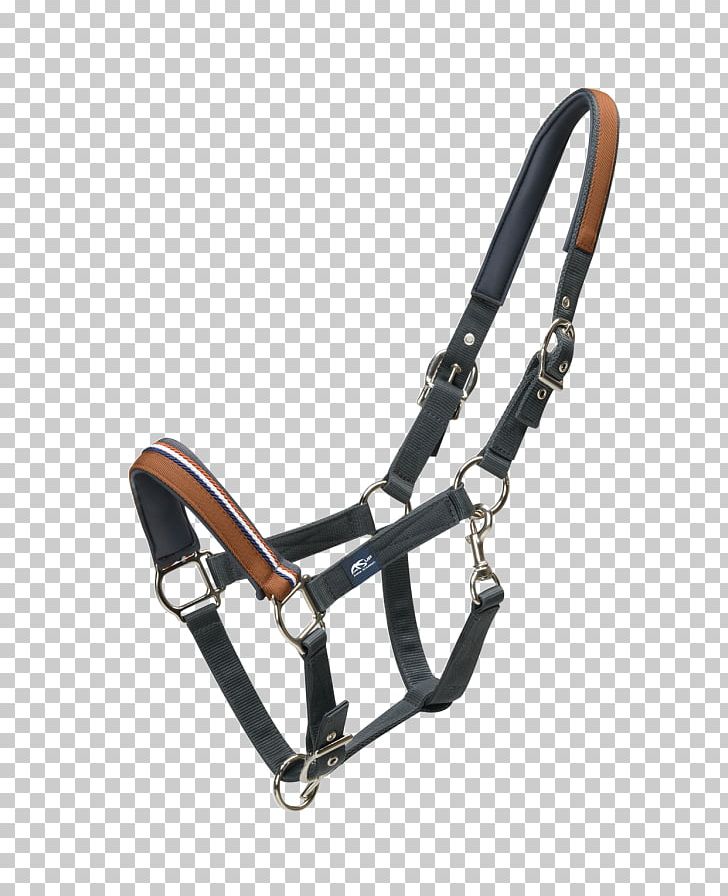 Clipart horse rope. Halter lead leather png