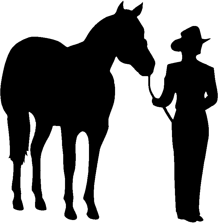 Horse Clipart Showmanship, Picture #1362968 Horse Clipart Showmanship