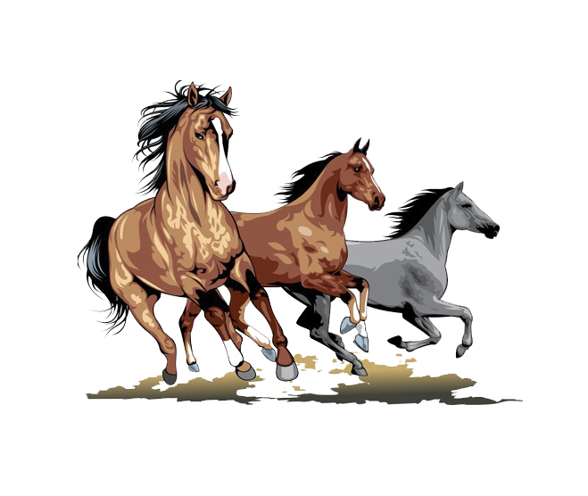 clipart horse stallion