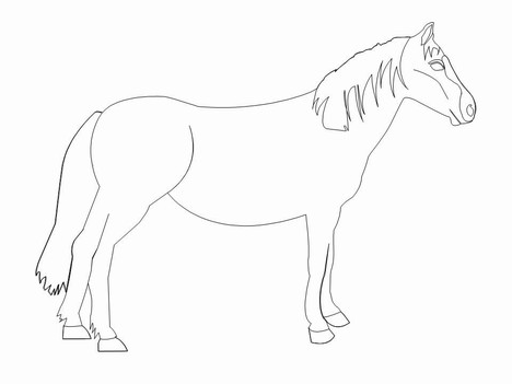 horses clipart template