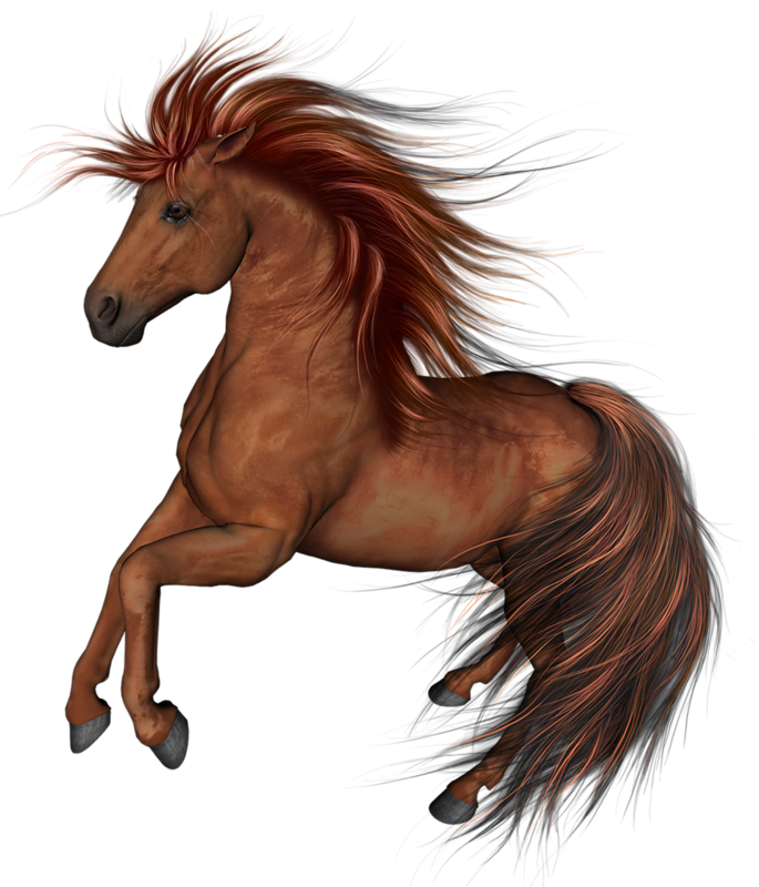 clipart horse thoroughbred horse