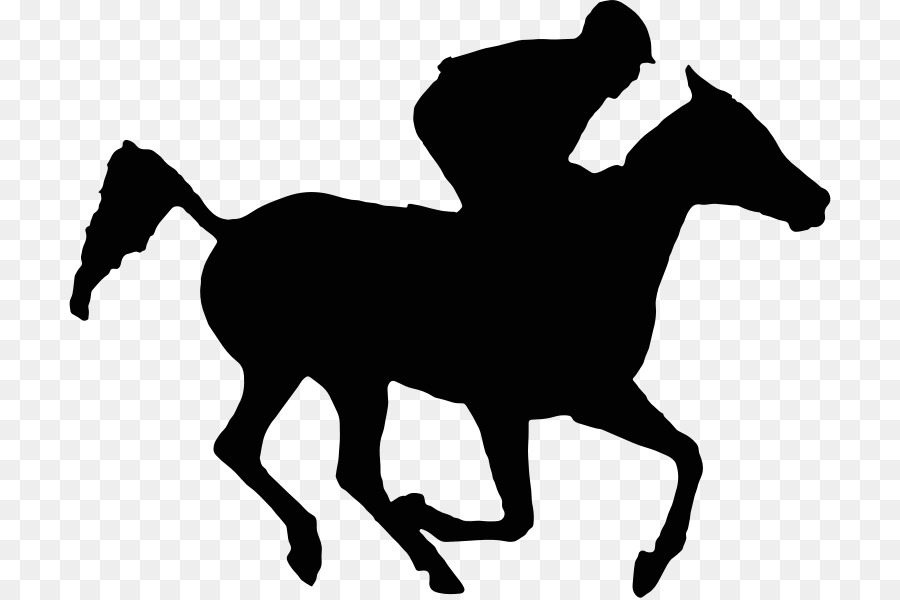 clipart horse thoroughbred horse