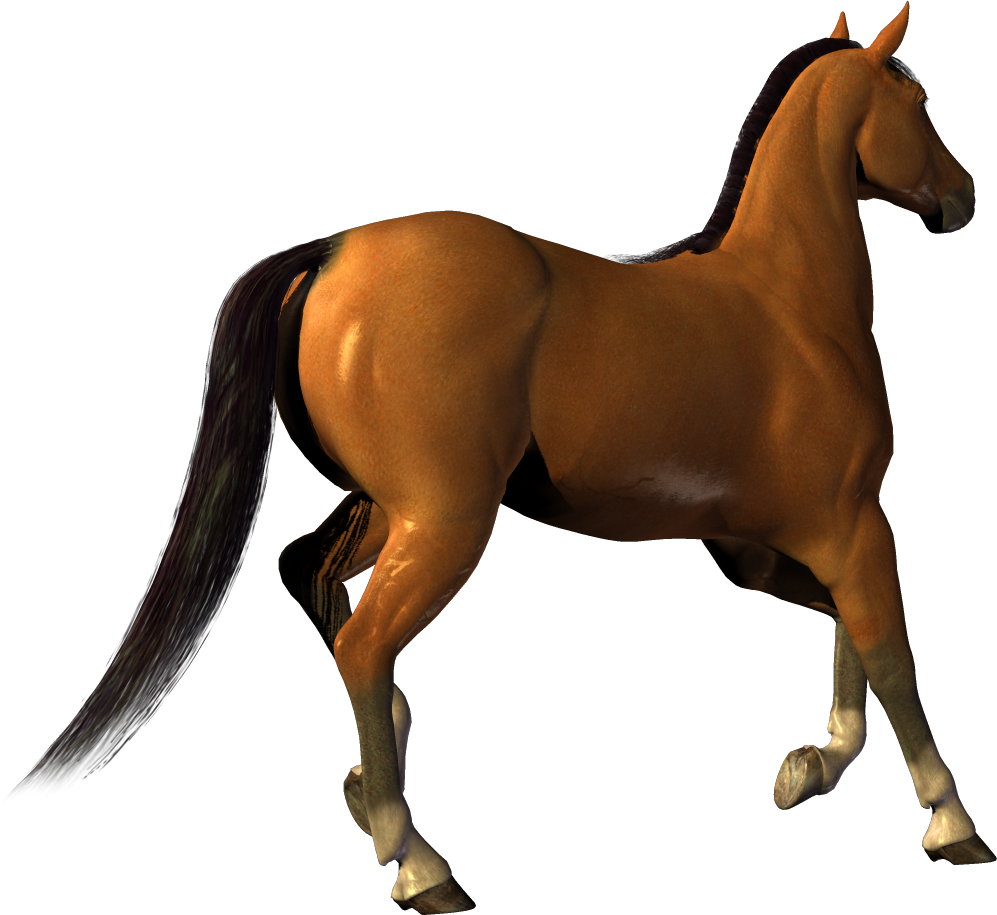 clipart png horse