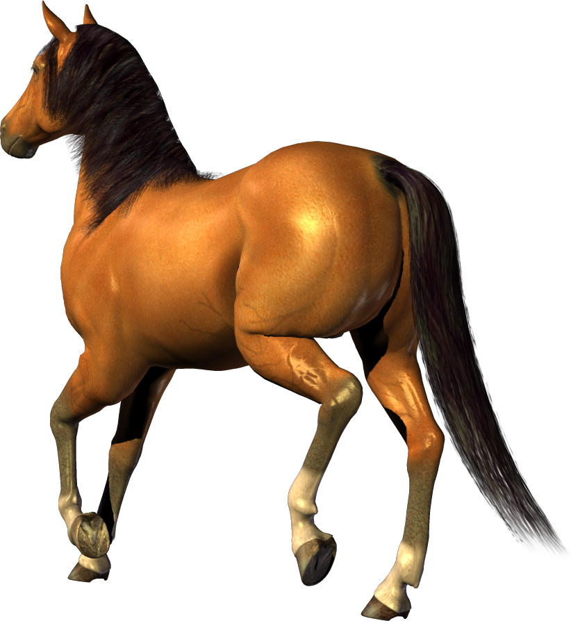 horses clipart quarter horse