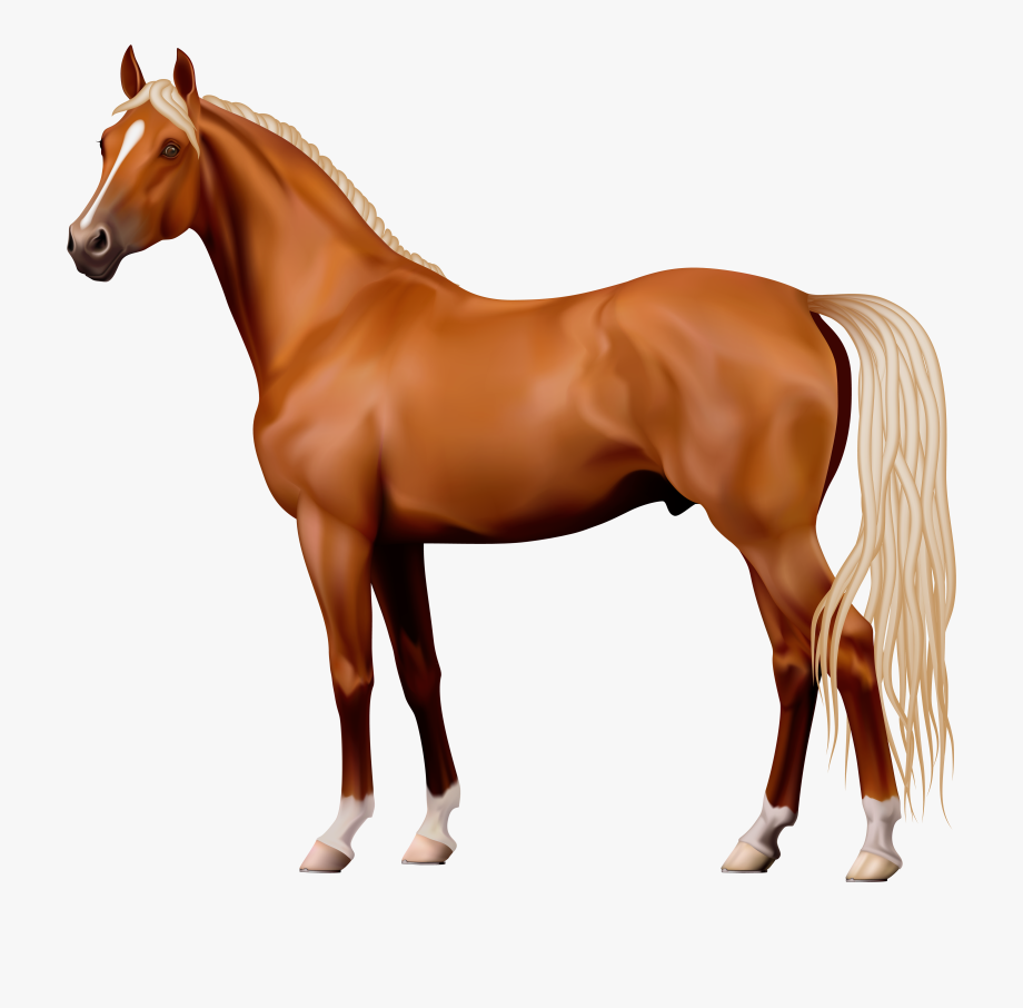 clipart horse transparent background