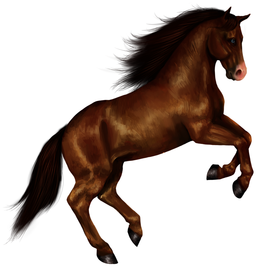 clipart horse vector
