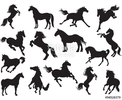 Horses clipart vector. Silhouettes of stock image