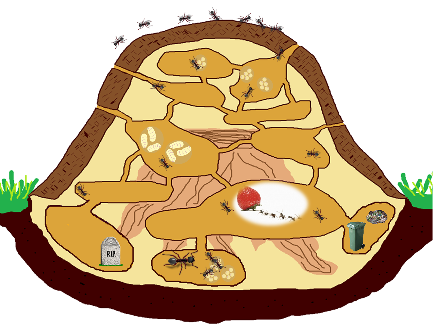 hill clipart ant nest