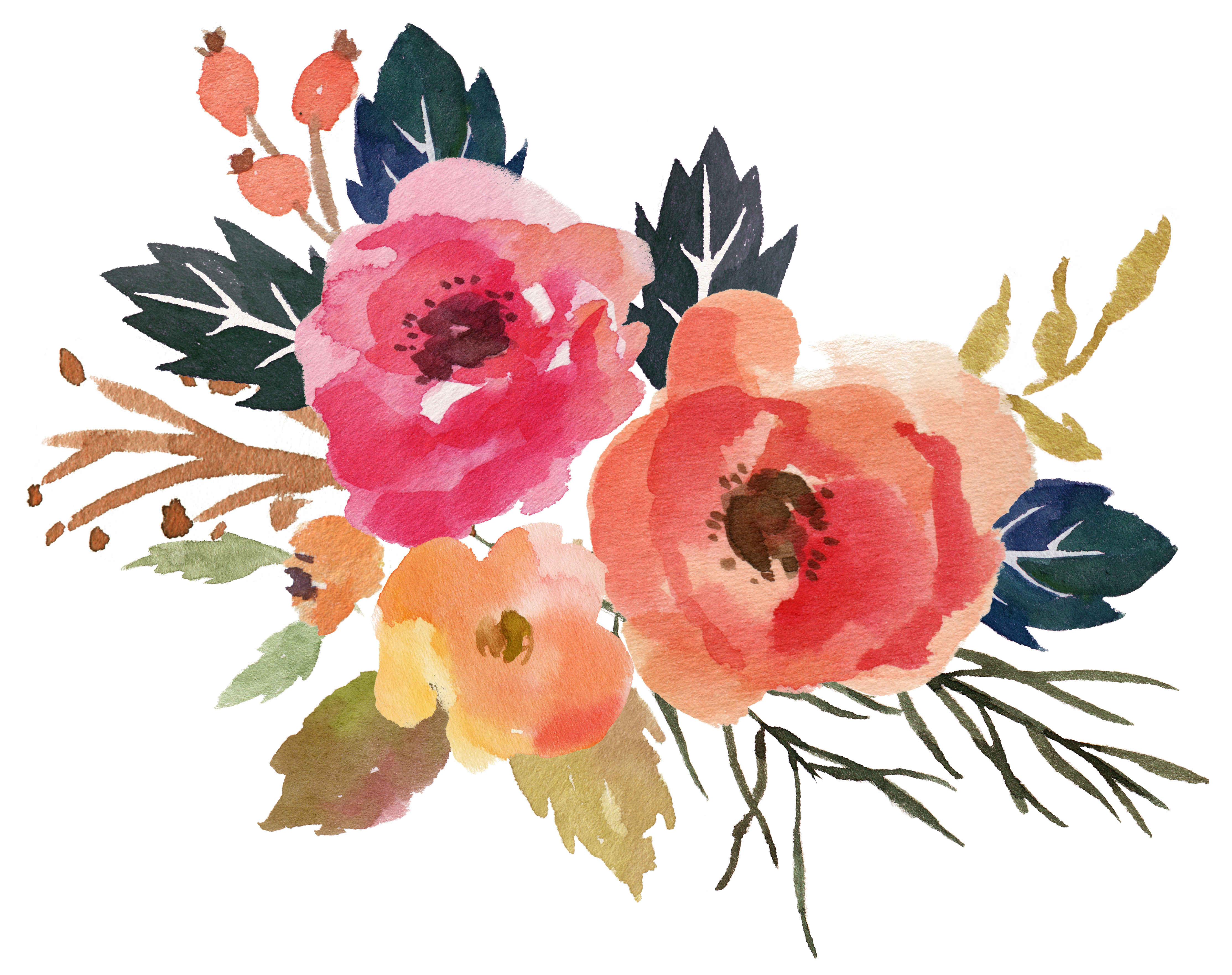 Peony clipart loose watercolor. Watercolour pinterest and flower