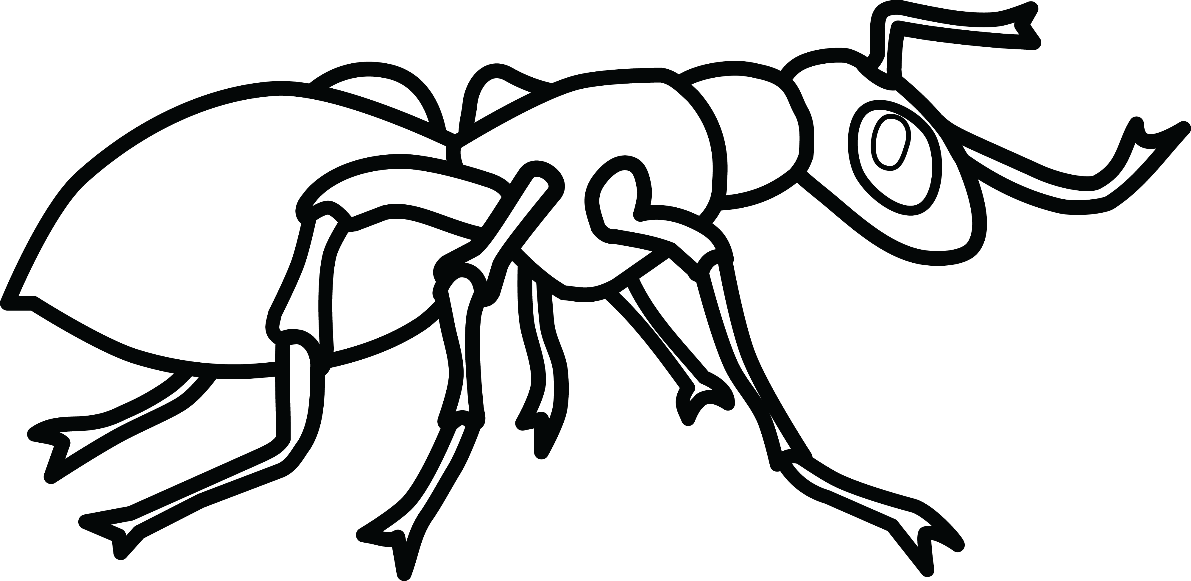 Ant clipart black and white.  collection of high