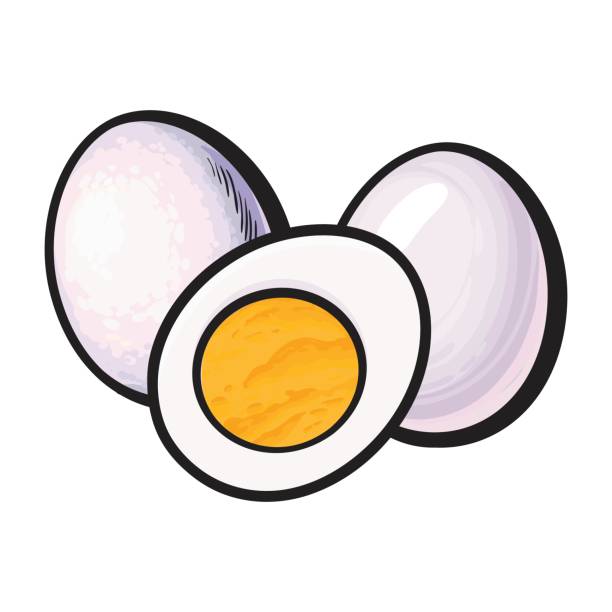 eggs clipart clip art