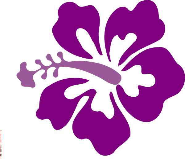 Purple . Hibiscus clipart colorful flower