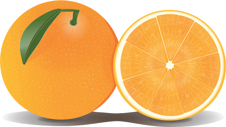 oranges clipart dino