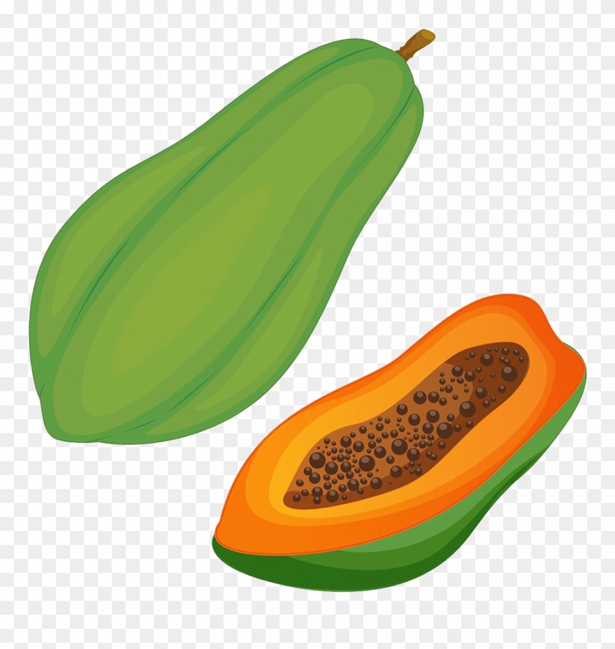 fruit clipart papaya