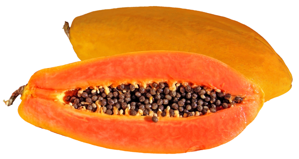 clipart images papaya