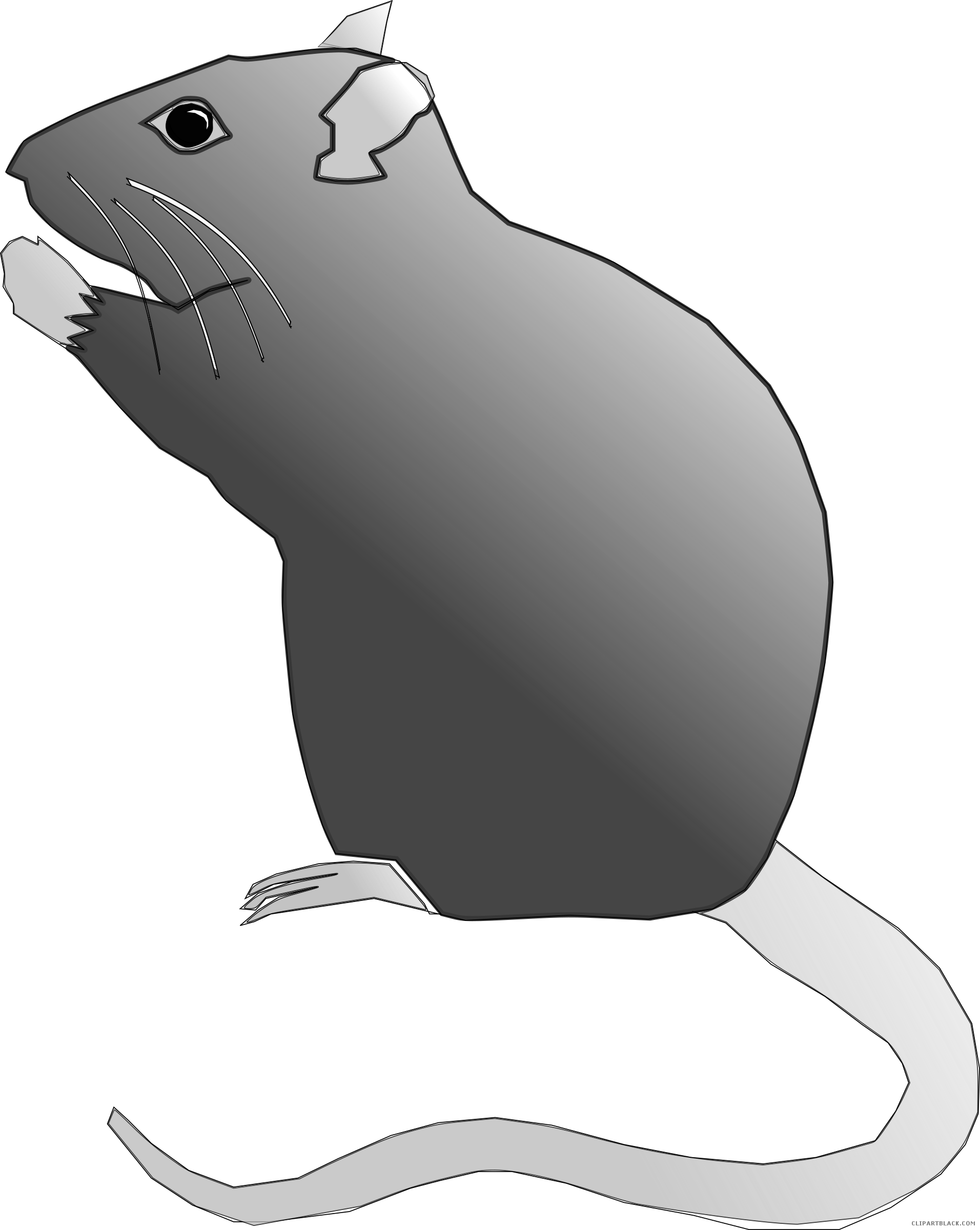 Clipartblack com animal free. Clipart rat gray
