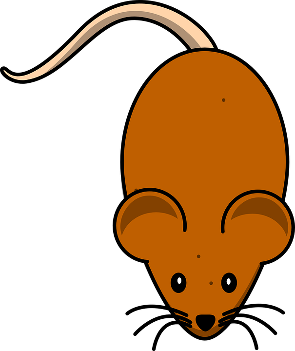 mouse clipart vector